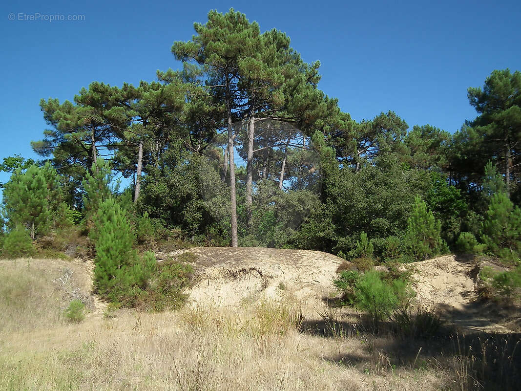 Terrain  à vendre - photo 2