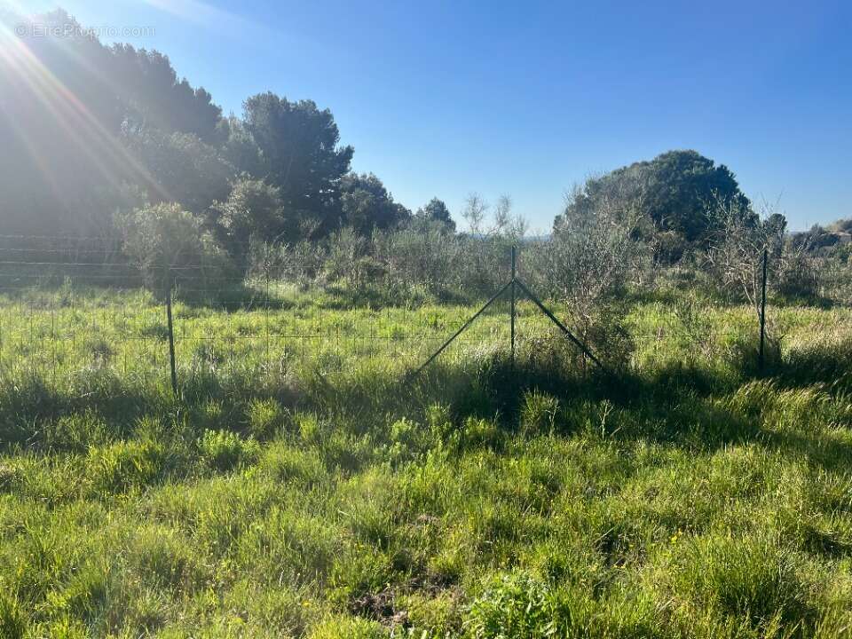Terrain à SEPTEMES-LES-VALLONS