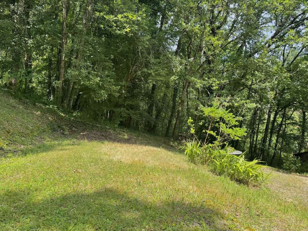 IMG8852 2 - Maison à LE BUGUE