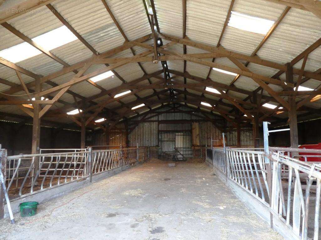 Exploitation agricole - photo 8
