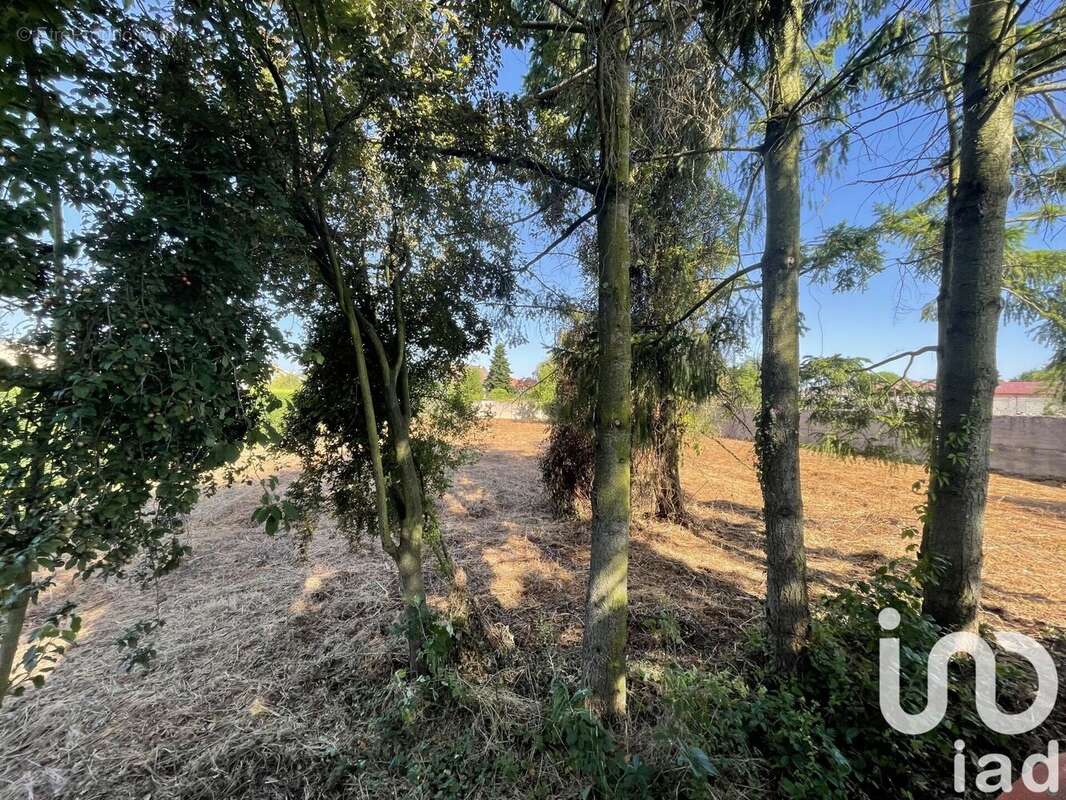 Photo 3 - Terrain à FEURS