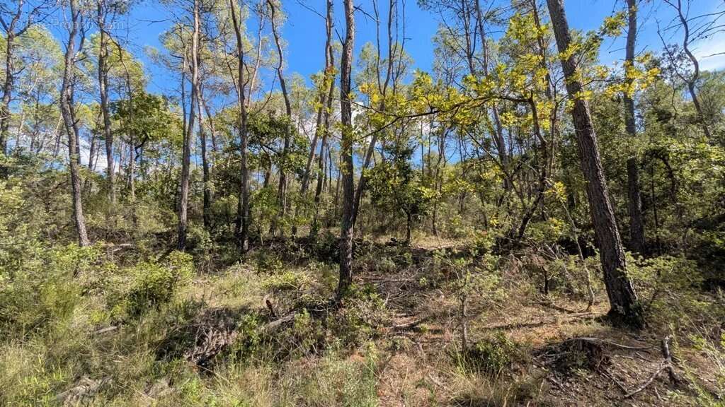 Terrain à ENTRECASTEAUX