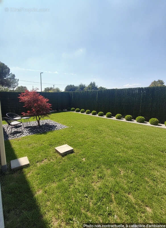 Pinsaguel- apt t3 avec jardin privatif - photo 5