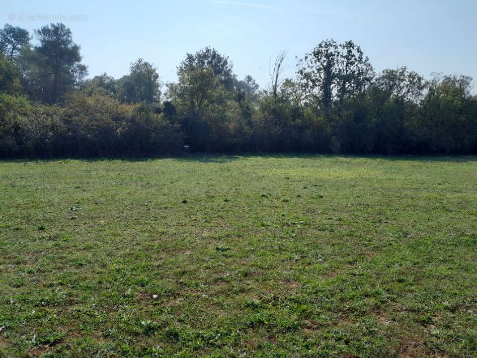 Terrain à SAINT-MAXIMIN-LA-SAINTE-BAUME