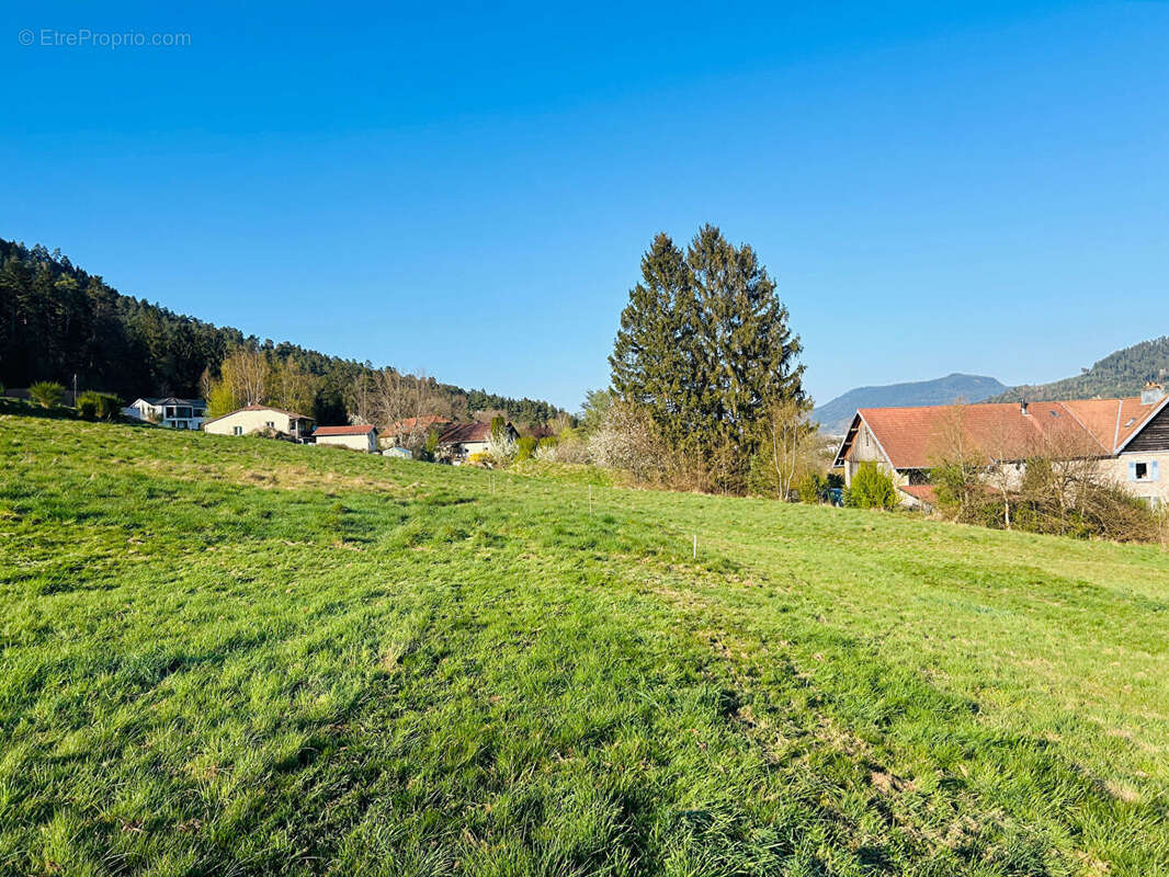 Terrain à SAINT-DIE-DES-VOSGES