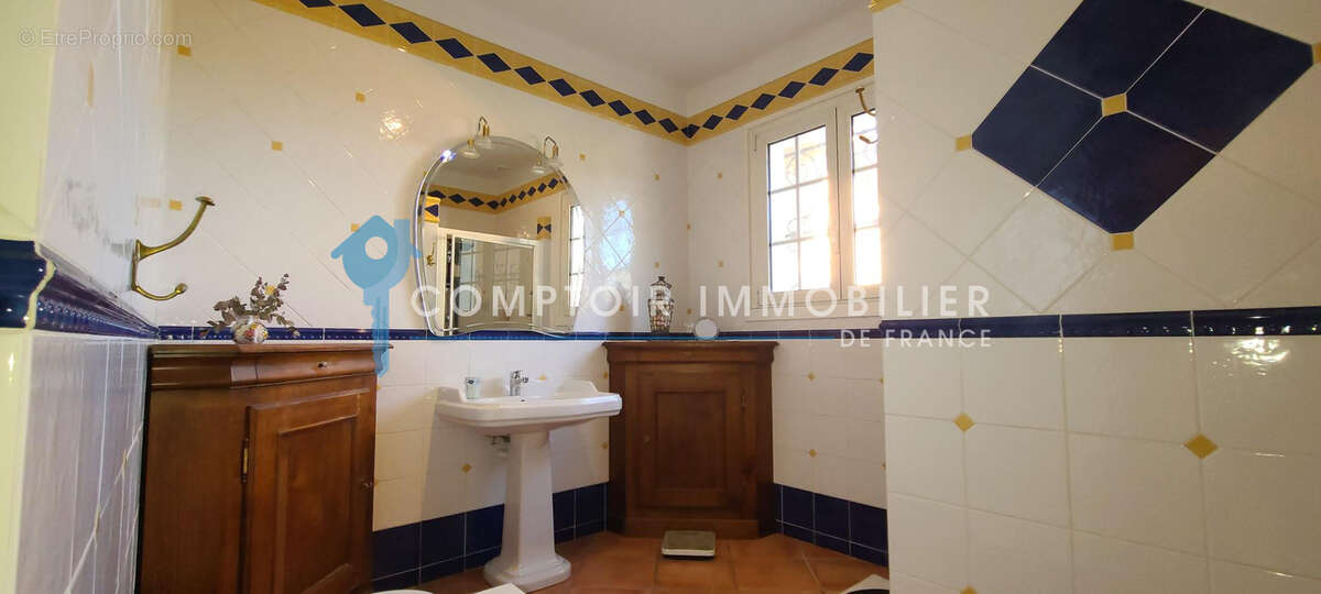 Dpt Haute-Garonne 31 - A vendre Ganties 31- Maison de ville T7 de 368 m2 sur terrain de 4490 m2 avec piscine e - photo 10