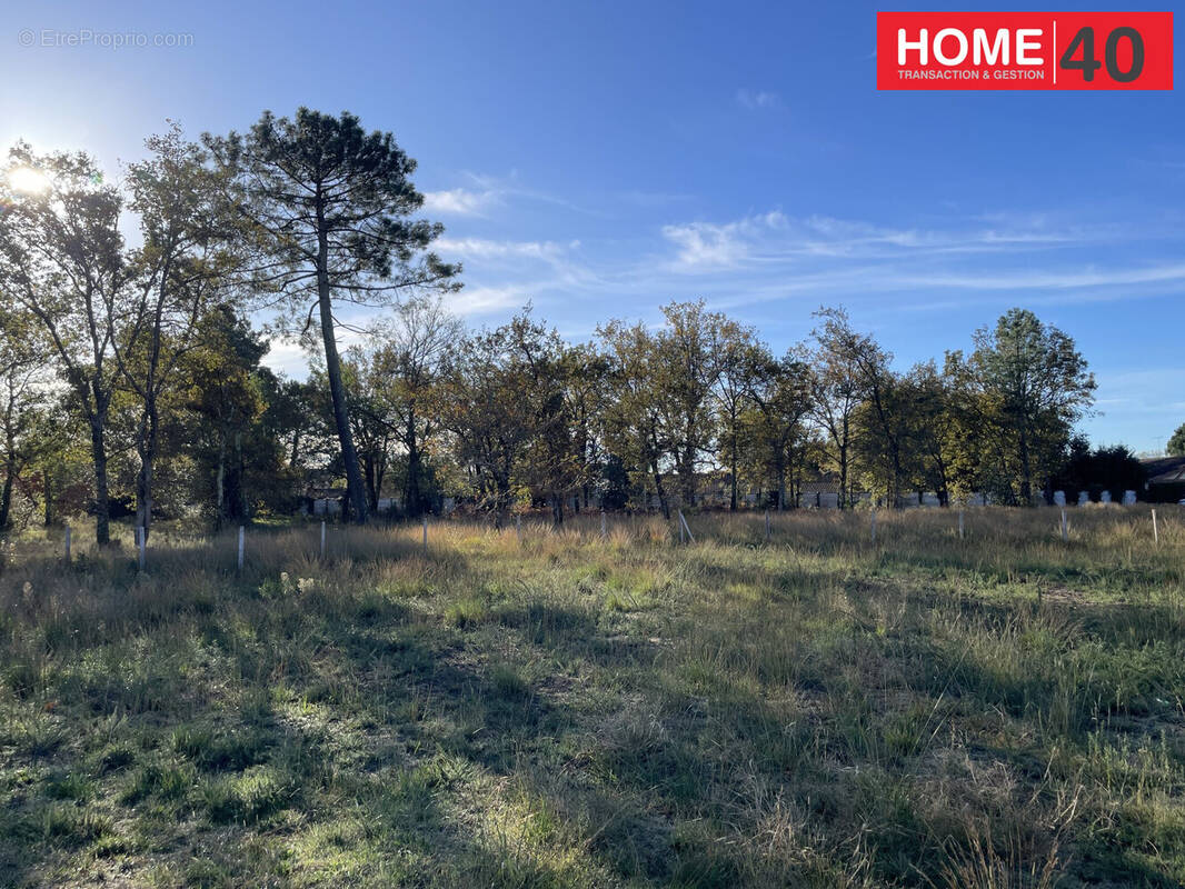 Terrain à PARENTIS-EN-BORN