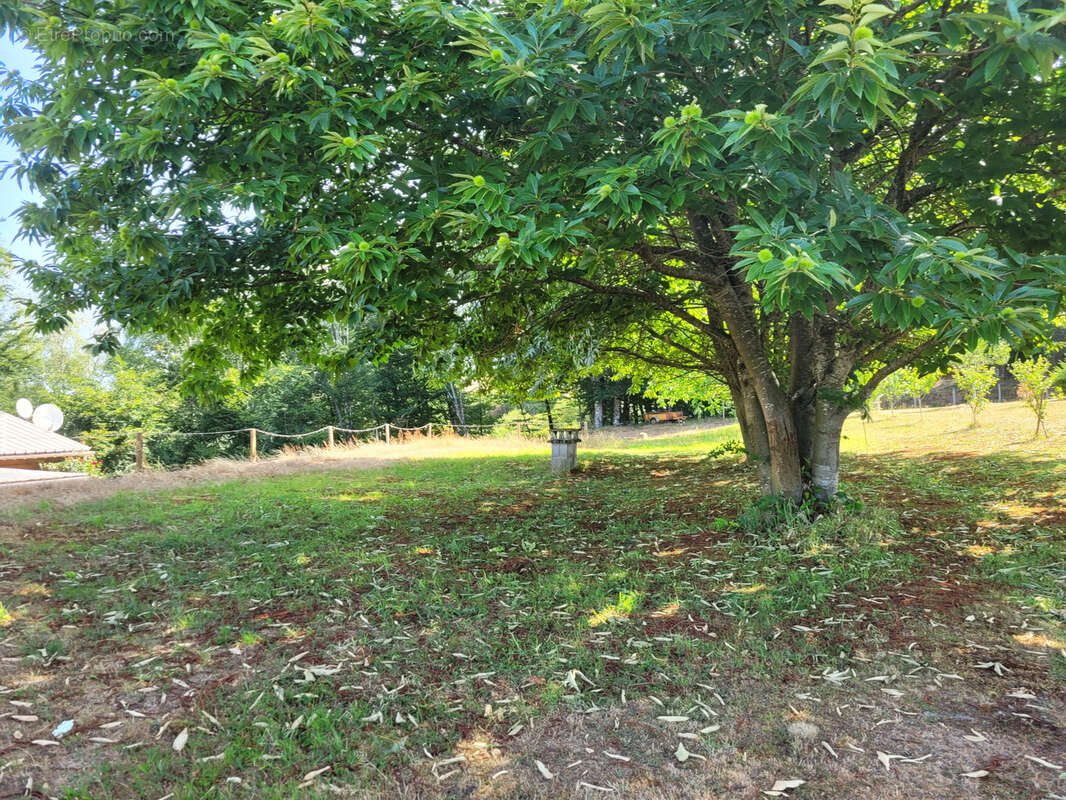 Maison de plain pied en viager libre à la campagne - photo 11
