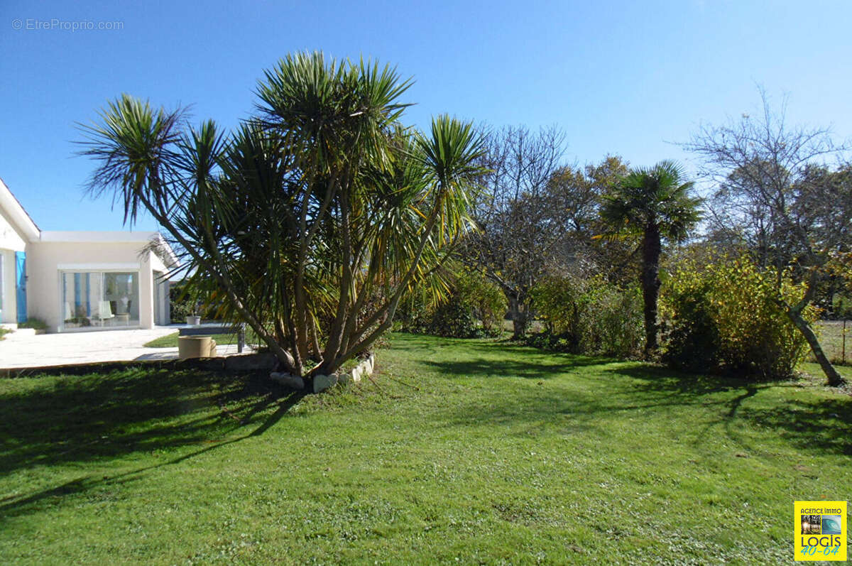 Maison à SAINT-LON-LES-MINES