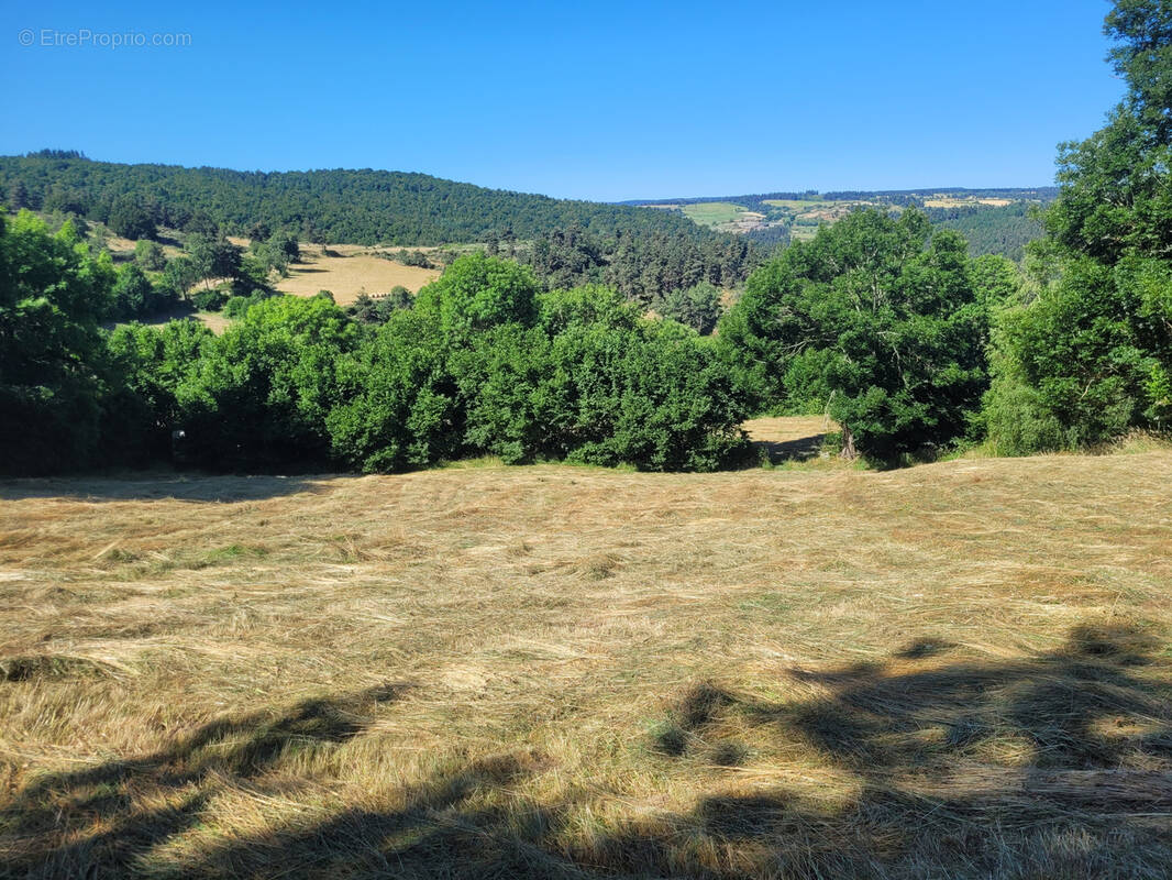 Terrain à PIERREFICHE