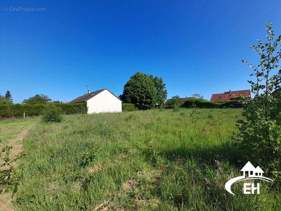 Terrain à SAINT-MAURICE-LES-CHARENCEY