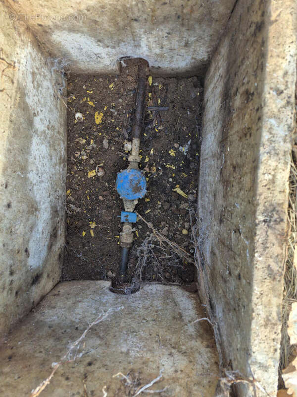 20251125_110552 - Terrain à SAINT-PARDOUX-LA-RIVIERE