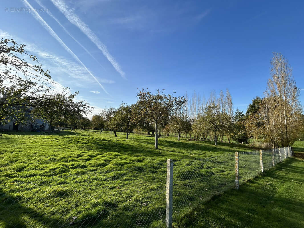 Terrain à VIRE