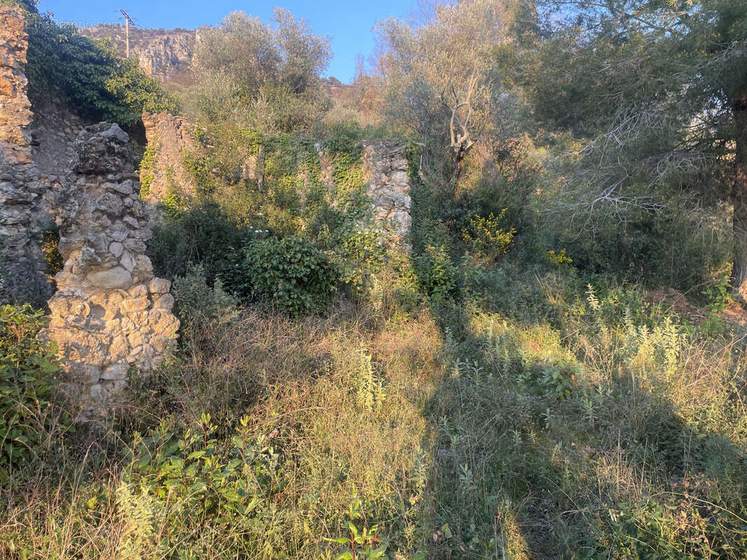 Terrain à CASTAGNIERS