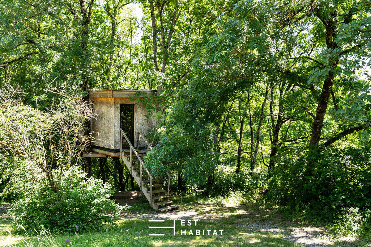 Contemporaine T5 LANTA - photo 9