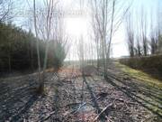 Terrain à CHATILLON-SUR-MORIN