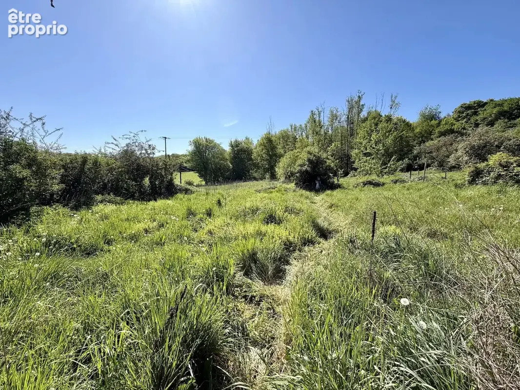 Grande maison d'habitation à vendre avec beaucoup de terrain près de l'Étang de Baye - photo 17