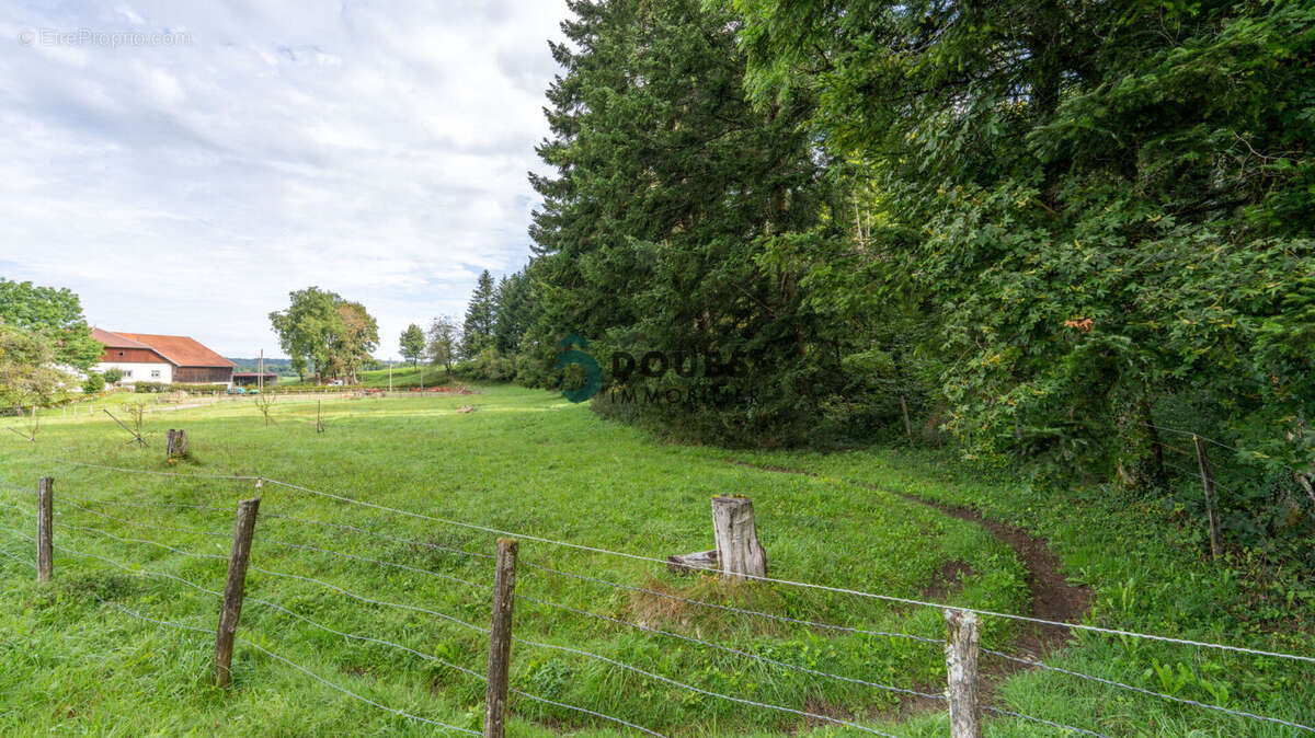Maison à PIERREFONTAINE-LES-VARANS