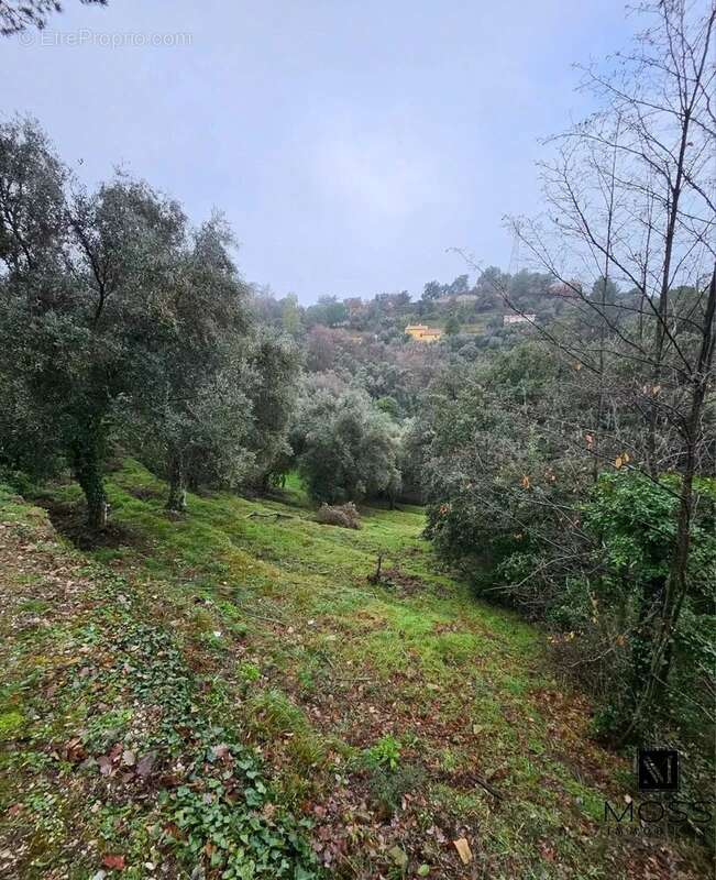 Maison à BERRE-LES-ALPES