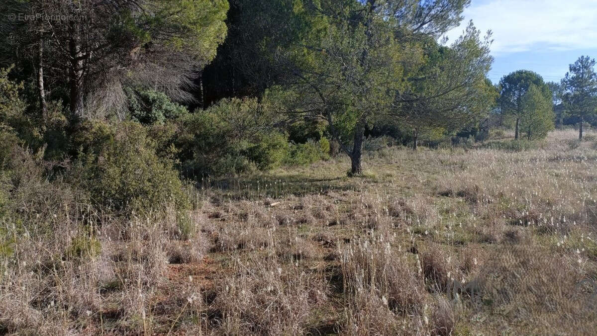 Terrain à MONTARNAUD
