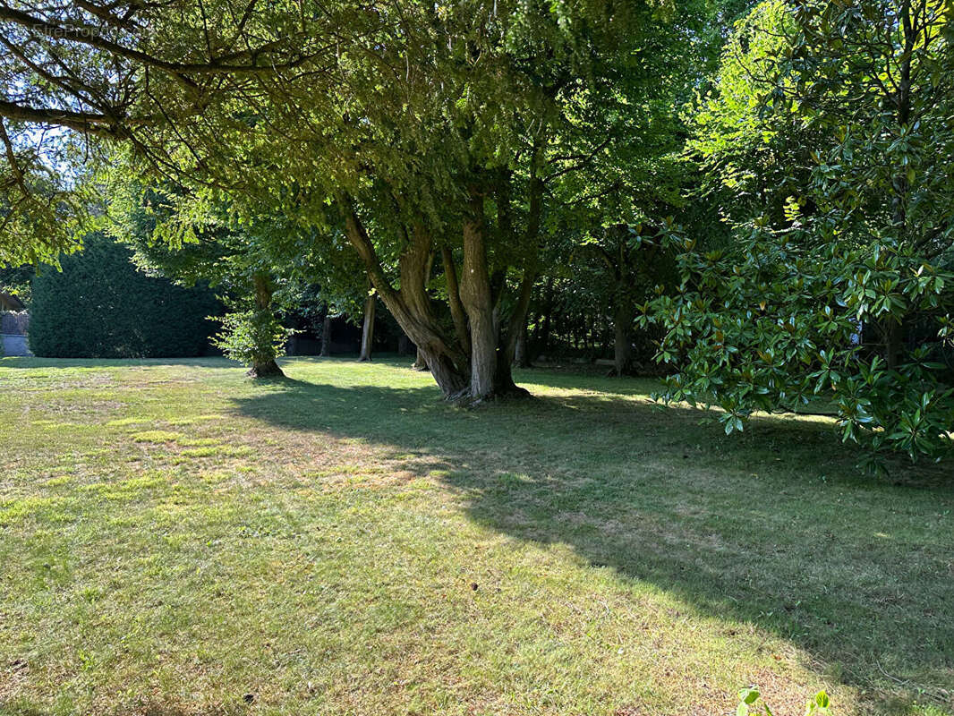 Terrain à LA CELLE-SAINT-CLOUD