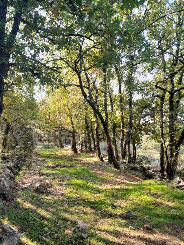 Terrain à SAINT-MAXIMIN-LA-SAINTE-BAUME