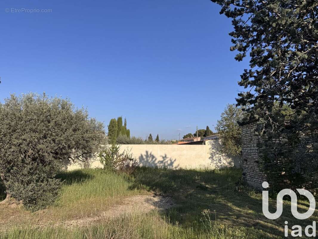 Photo 2 - Terrain à CAVAILLON