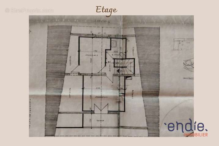 Authentique maison landaise de 193 m² sur un magnifique terrain arboré et entièrement clos de 2 000 m² à Saint-Sever - photo 12