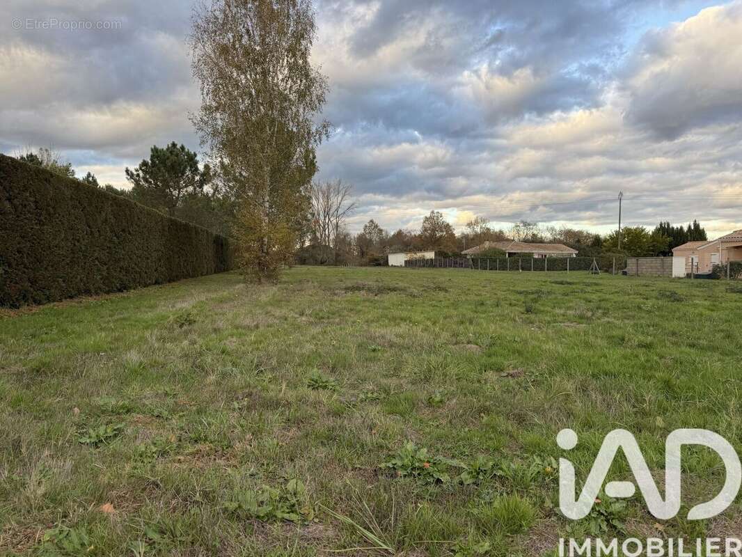 Photo 2 - Terrain à MENESPLET