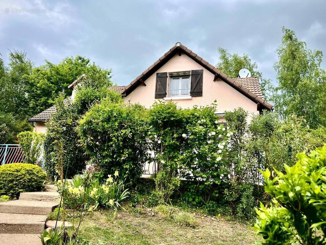 Photo 1 - Maison à VILLENEUVE-SUR-YONNE