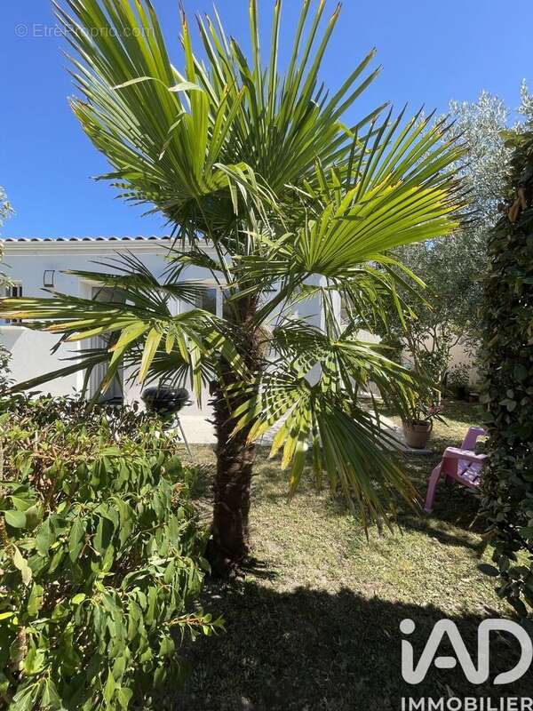 Photo 5 - Maison à ETAULES