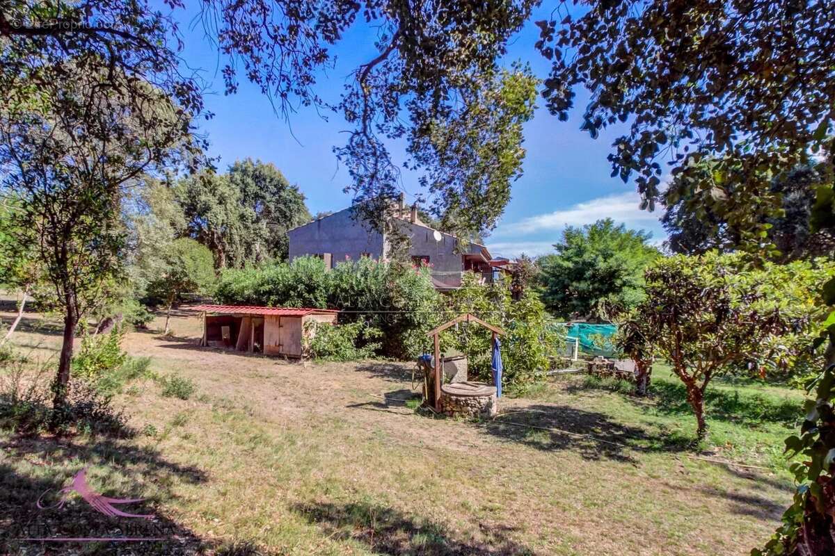 Maison en viager - bravone - photo 15