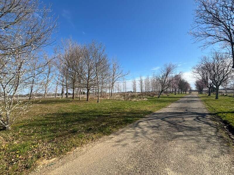 Maison à PARLEBOSCQ