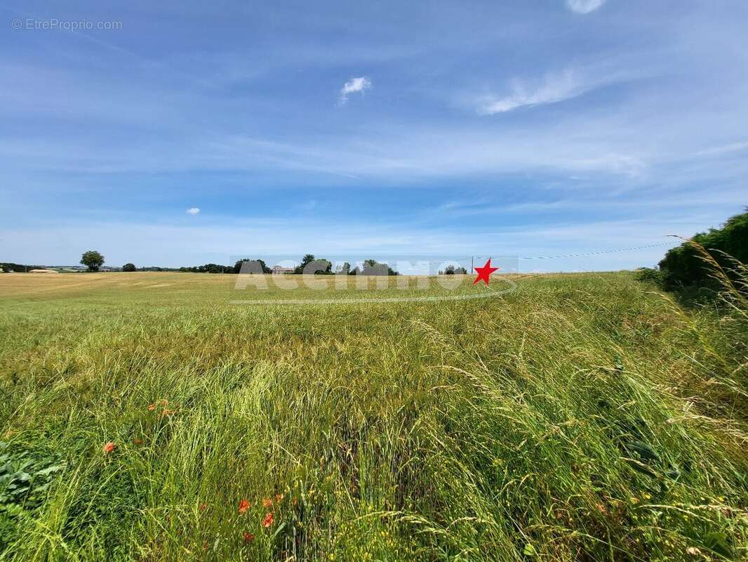 Terrain à VIVIERS-LES-LAVAUR