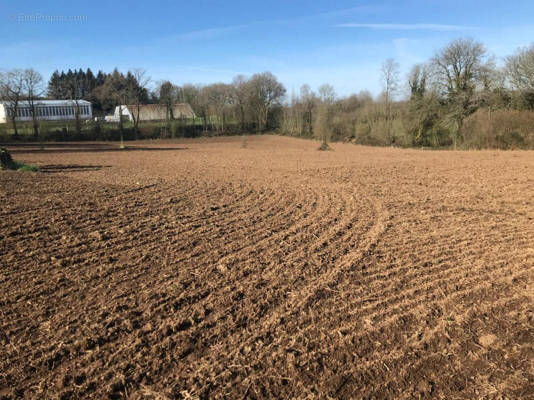 Terrain à GOURIN