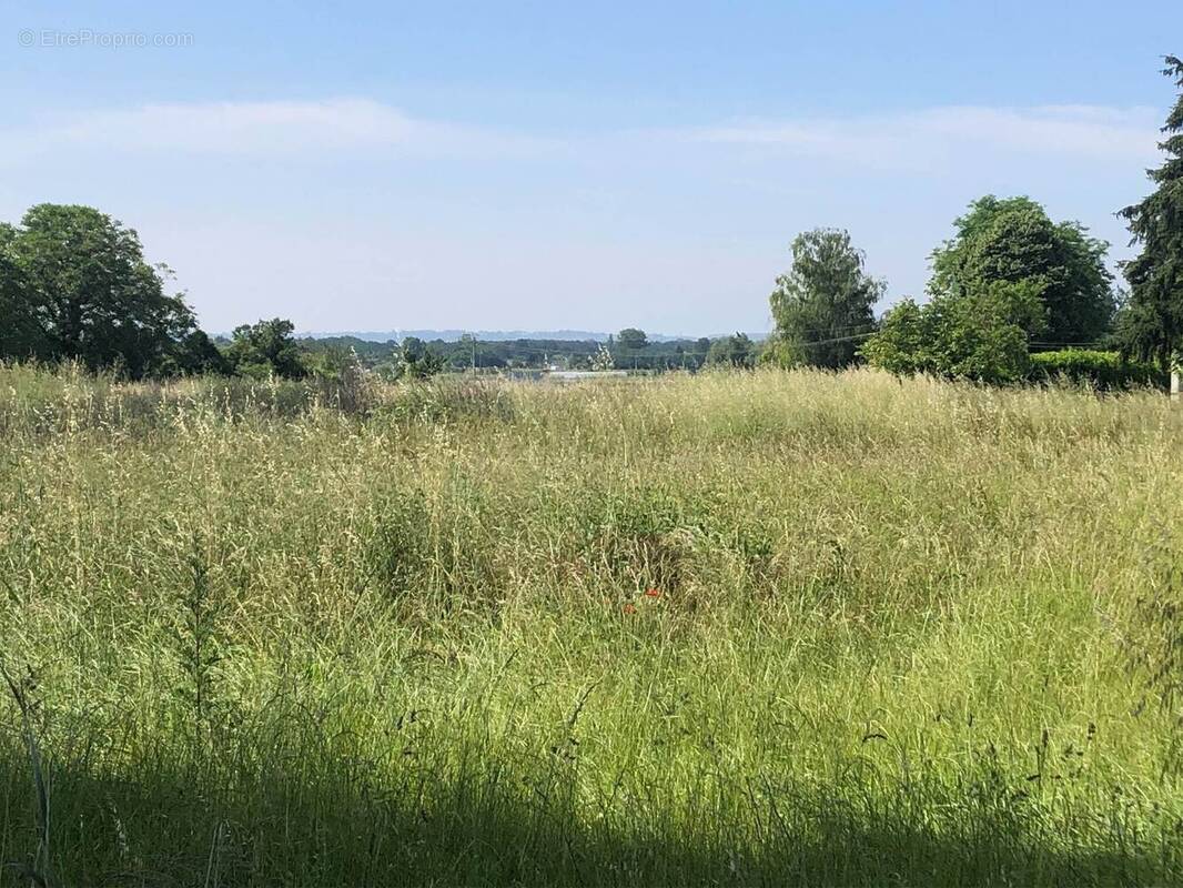 Terrain à VEIGNE