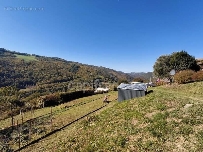 Maison à VIEILLEVIE