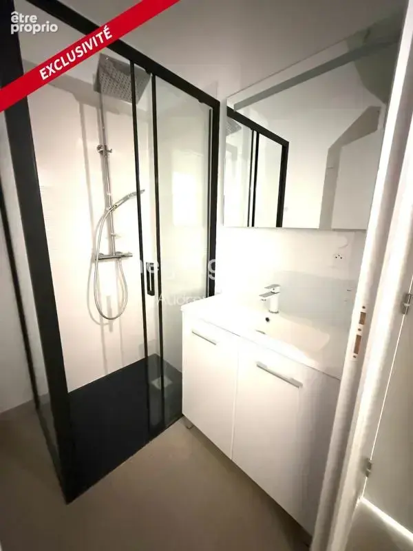 Immeuble avec revenu locatif, proche d'Auxerre - photo 3