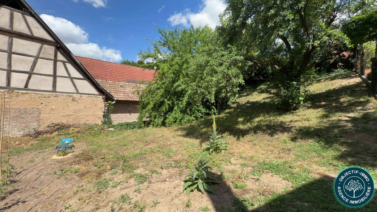 COUP DE CŒUR AU KOCHERSBERG — Authentique corps de ferme alsacien sur 14,93 ares - photo 12