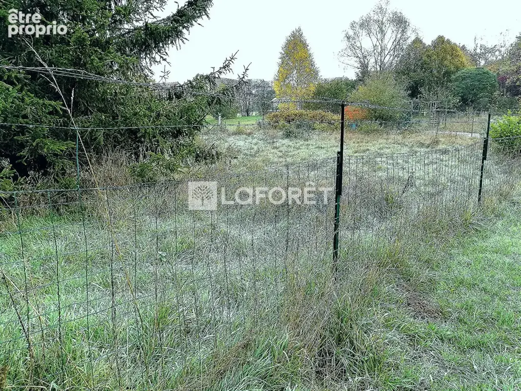 Terrain 630 m2 + Projet de Construction Maison 95 m2 à Vigy Parcelle n° 1 - photo 3