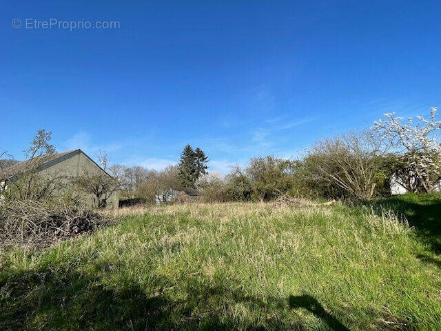 Photo 1 - Terrain à CHOISY-EN-BRIE