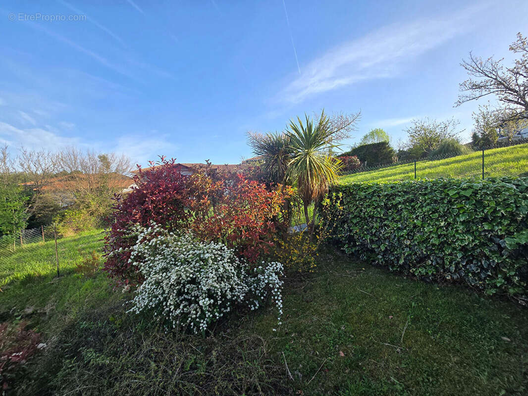 Appartement à HENDAYE