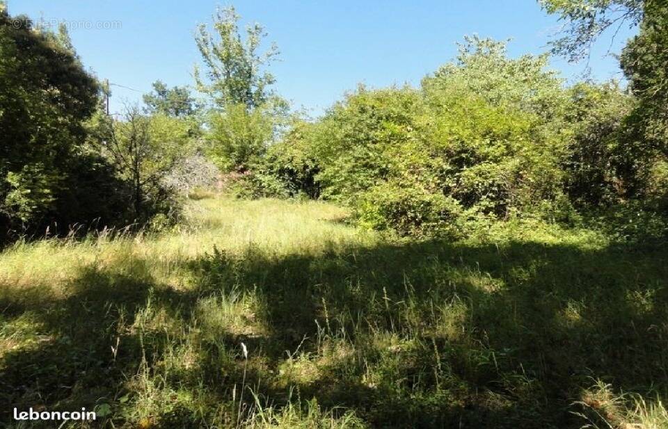 Terrain à CENNE-MONESTIES