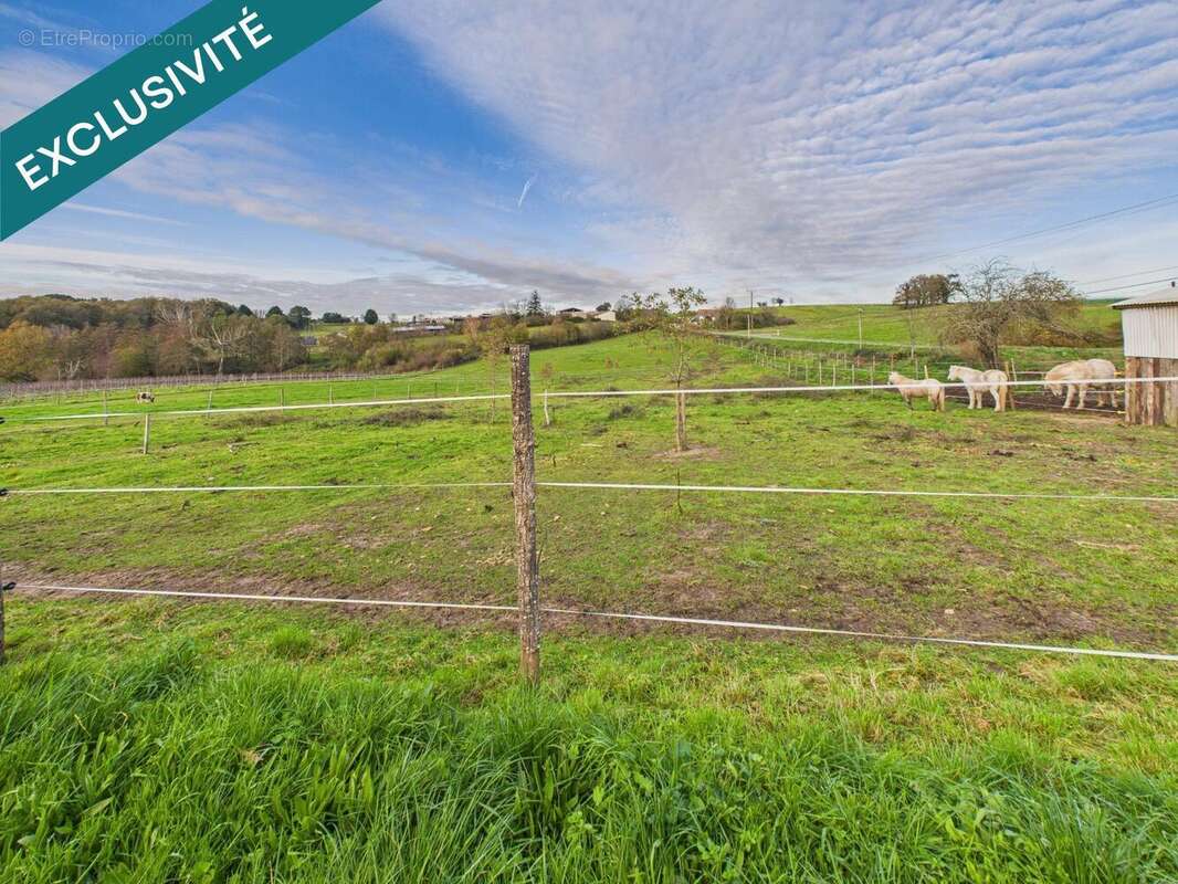 Photo 3 - Maison à MIRAMBEAU