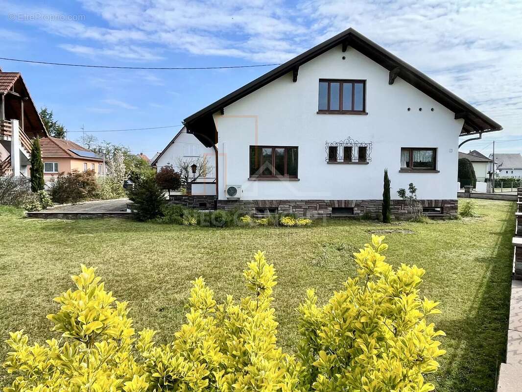 Maison à KALTENHOUSE