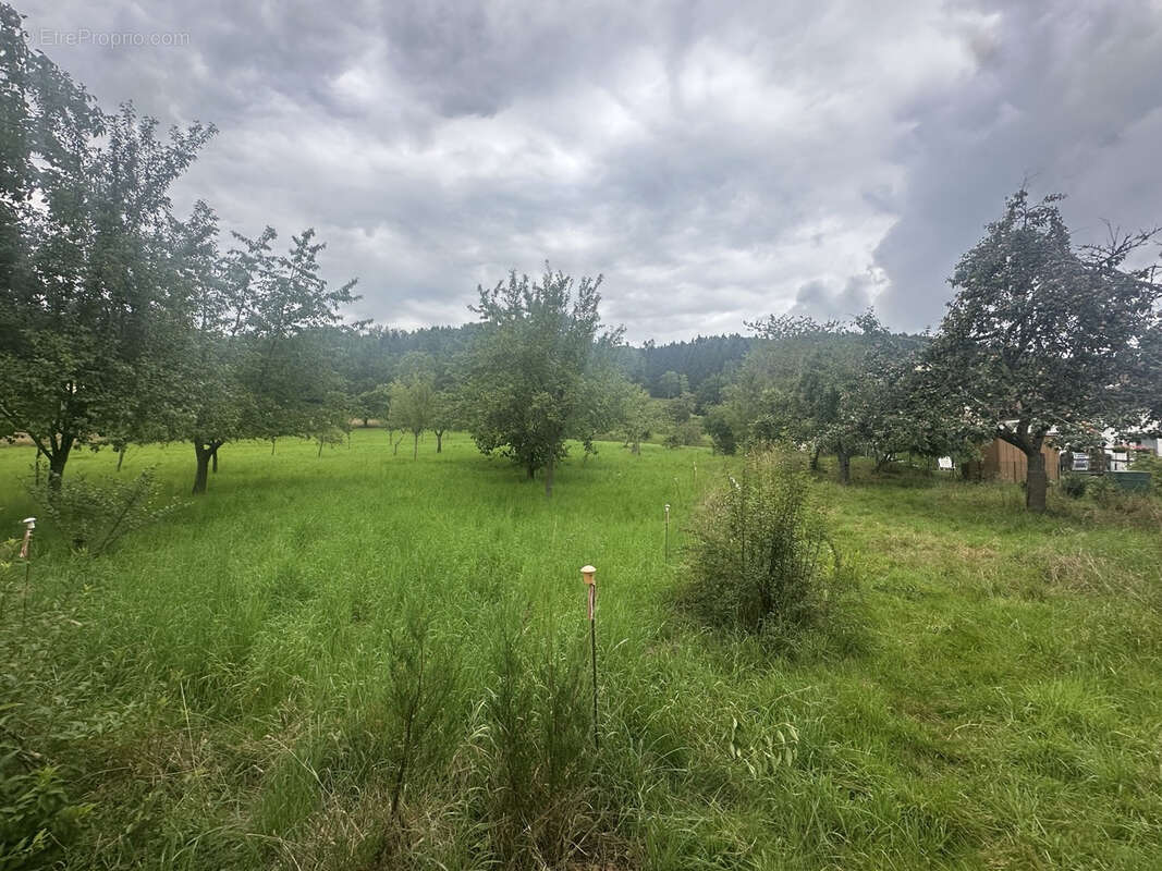 Maison à BAN-DE-LAVELINE