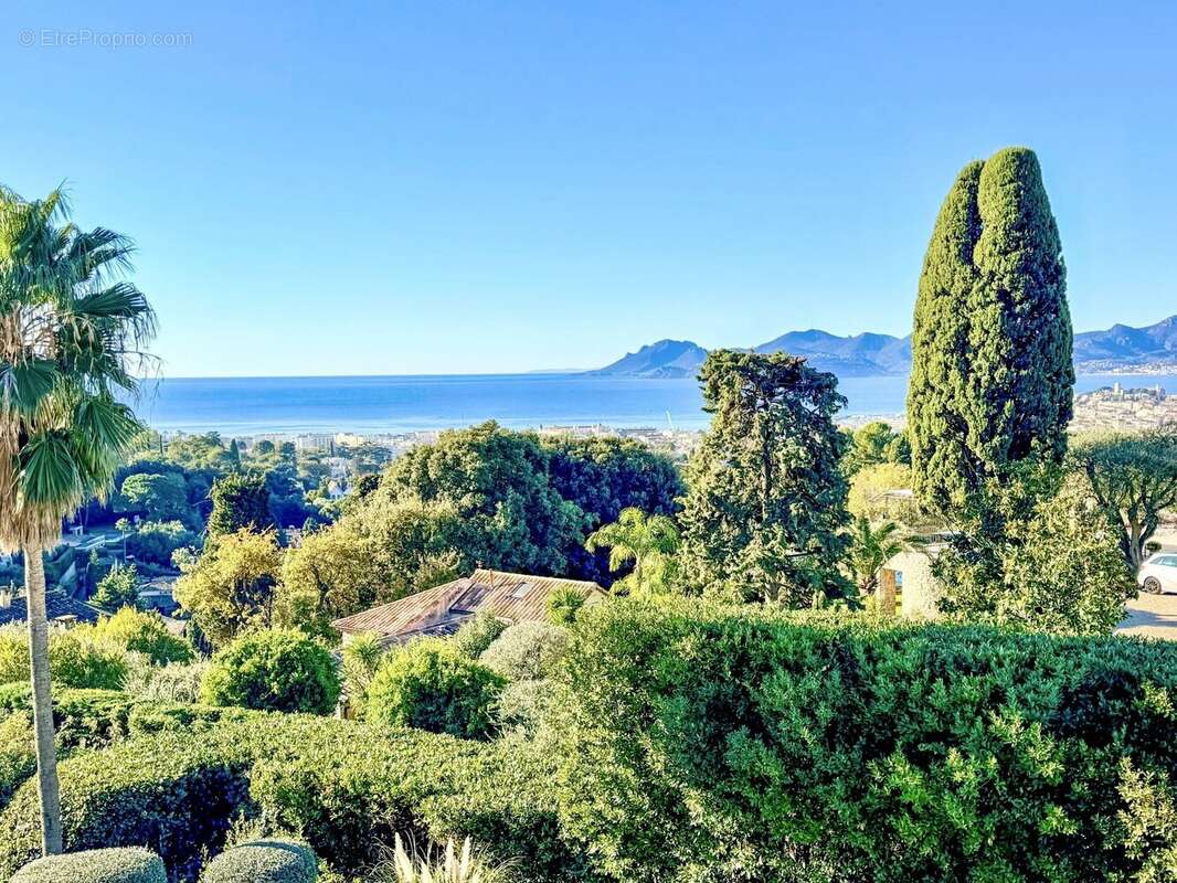 Maison à CANNES
