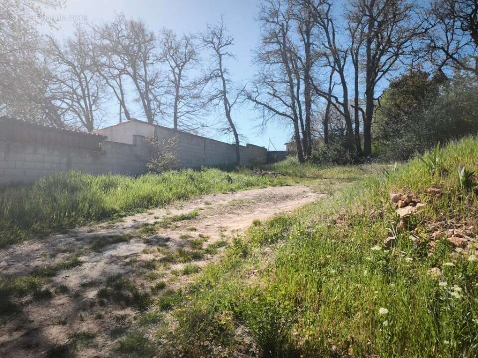 Terrain 442 m² à Saint-Maximin-La-Sainte-Baume  - photo 2