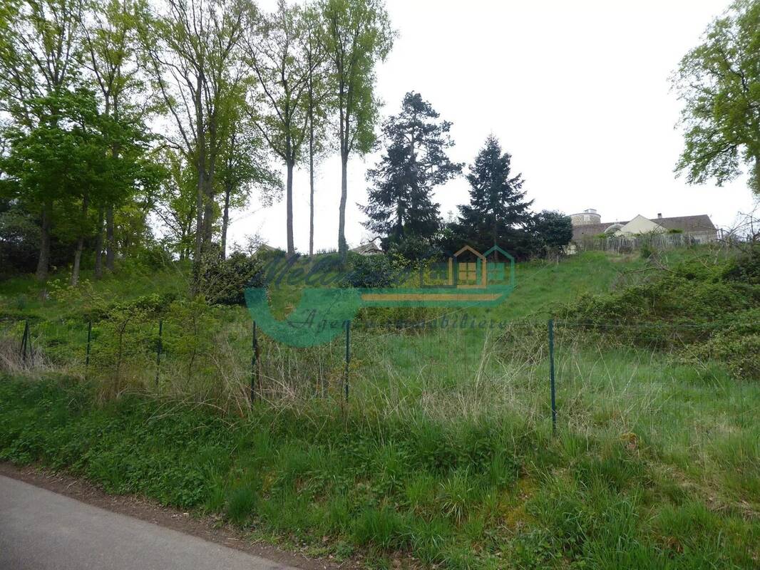 Terrain à SAINT-GEORGES-SUR-BAULCHE