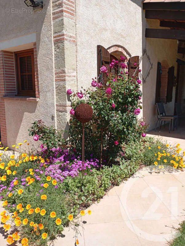 Maison à MONTGAILLARD